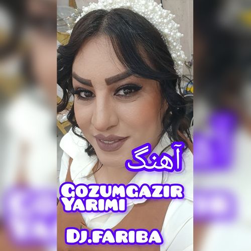 دانلود آهنگ گوزوم گزیر یاریمی دردلره درمانیمی از دیجی فریبا